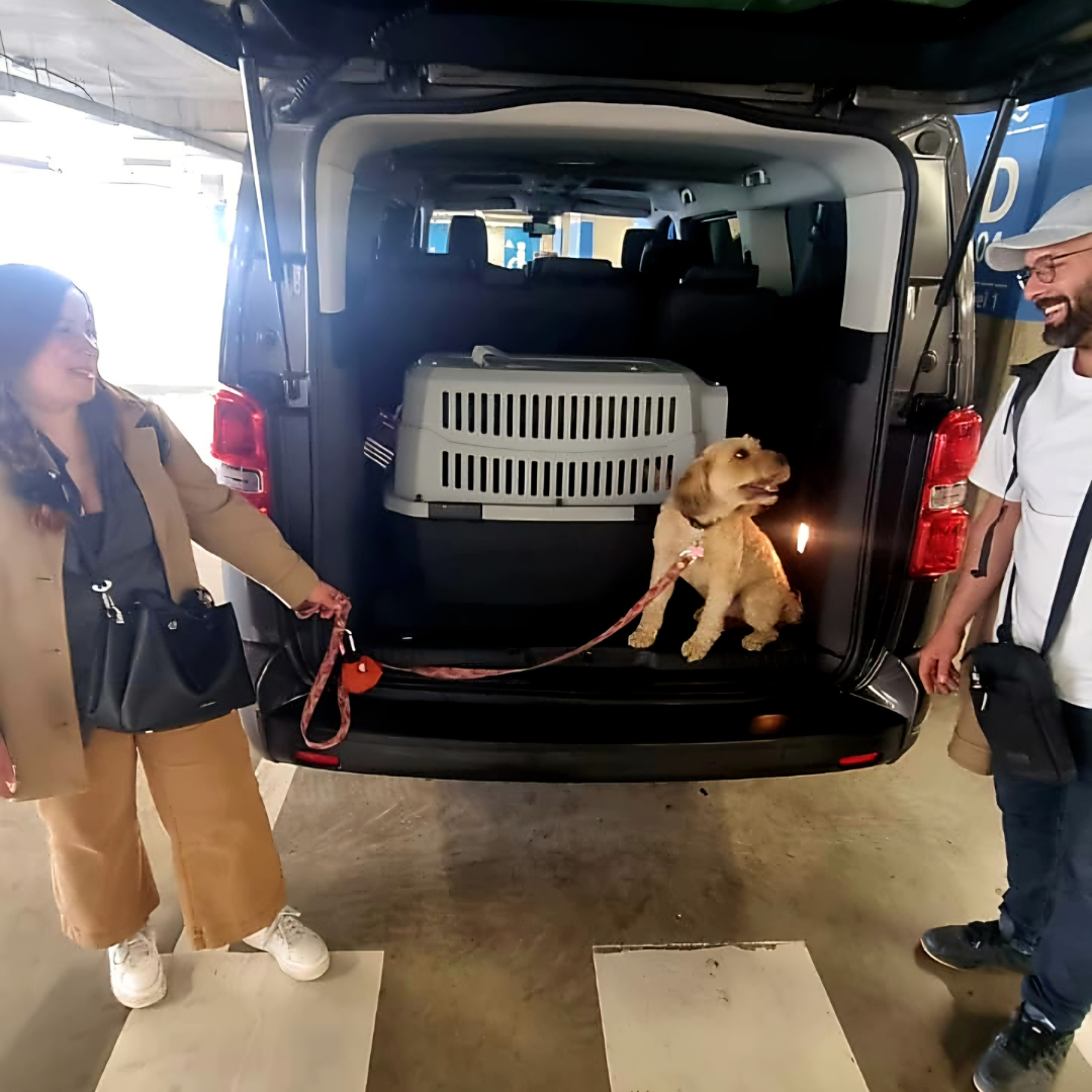 Servicio Pet Friendly TransportesVIP